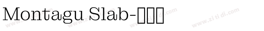Montagu Slab字体转换
